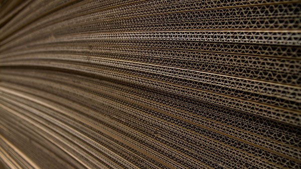 包裝行業(yè)革新在即綠色環(huán)保大勢所趨！